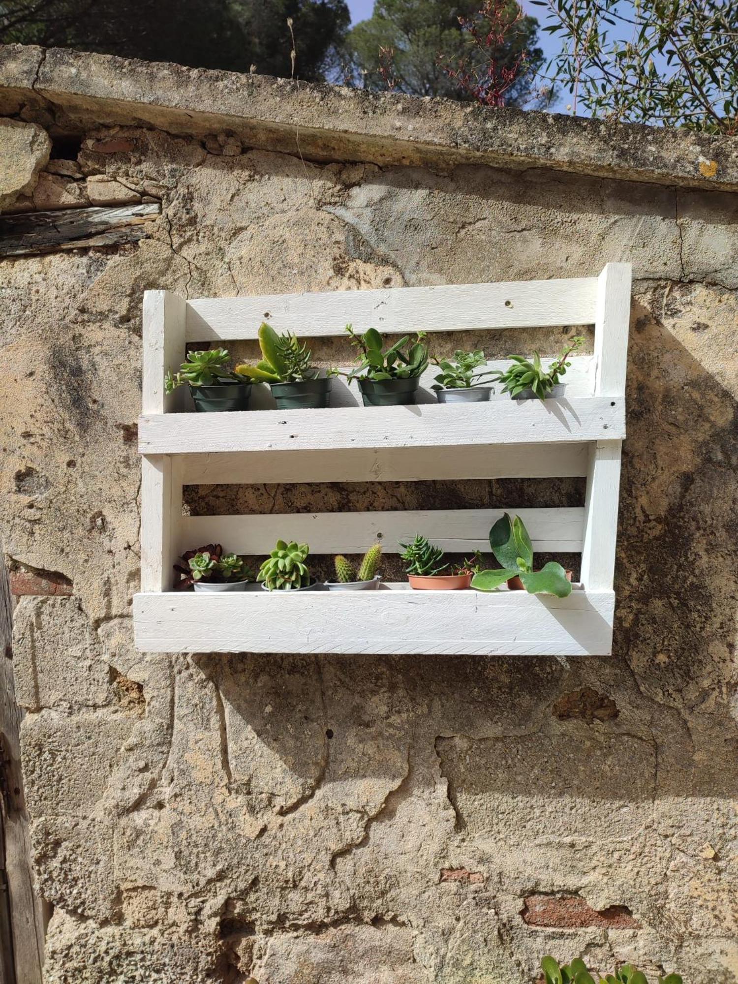 Apartment Borgo