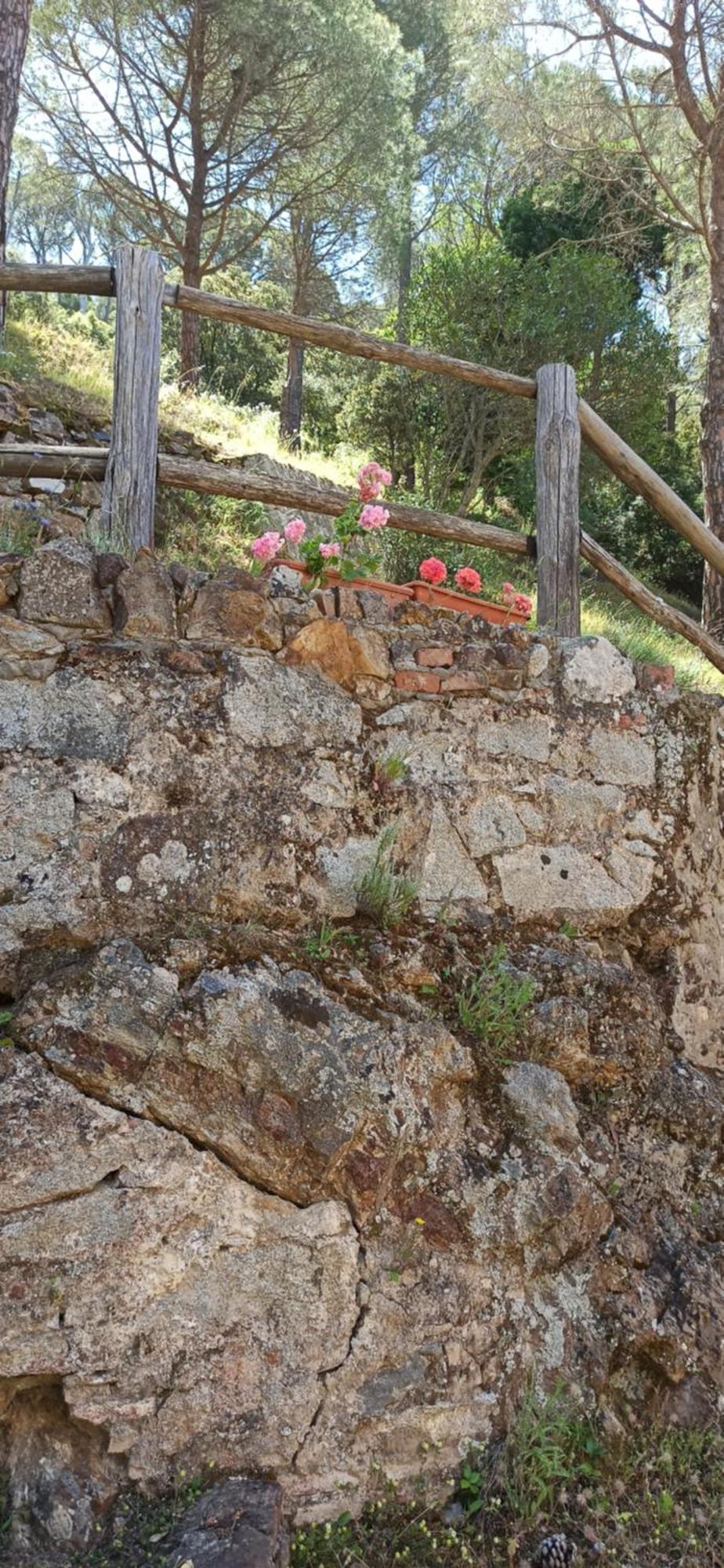 Apartment Borgo Ingurtosu